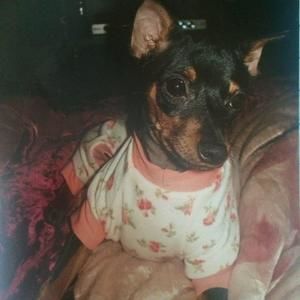 Meet your Posher, Crystal